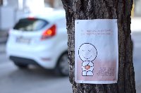 Poster on tree: Thank you, Thank you, Thank you.