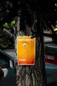 Poster on tree: Do things that make you happy, everyday!