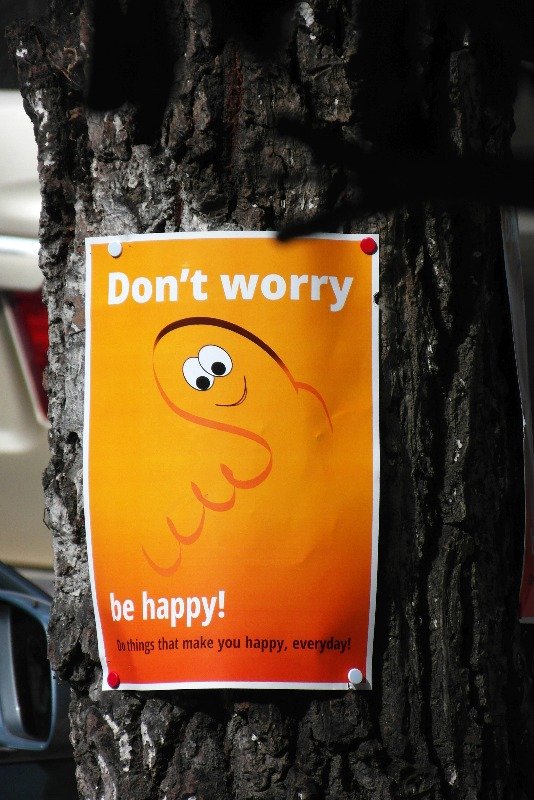 Poster on tree: Do things that make you happy, everyday!