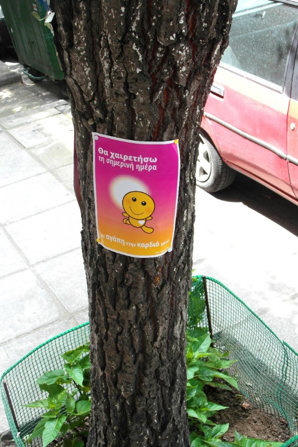 Poster on tree: I will greet this day with love in my heart