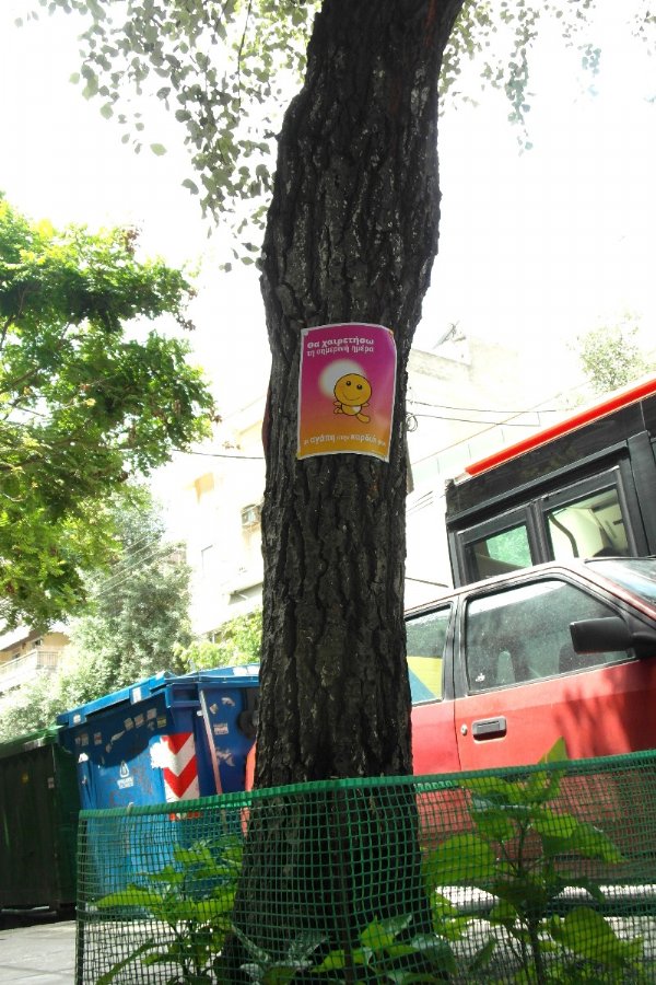 Poster on tree: I will greet this day with love in my heart